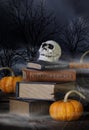 Halloween Skull and Old Books