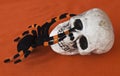 Halloween Skull and tarantula