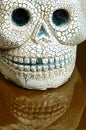 Halloween skull teeth reflection