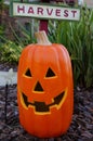 Halloween smiling pumpkin