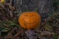 Halloween smiling pumpkin on the grass at autumn's park