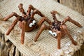 Halloween spider cakes with candy eyes in chocolate, Halloween treats Royalty Free Stock Photo