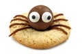 Halloween spider cookie isolated on white Royalty Free Stock Photo