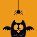 Halloween spider hanging with owl Royalty Free Stock Photo