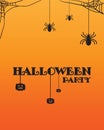 Halloween Spider and Pumpkins Wallpaper