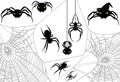 Halloween Spider Set Royalty Free Stock Photo