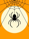 Halloween Spider Silhouette poster