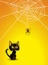 Halloween spider web and black cat background. Royalty Free Stock Photo