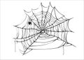 Halloween spiderweb vector with spider isolated on white