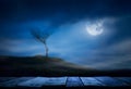 A halloween spooky lone bare branch tree in an isolated moors landscape at night with a full moon and clouds in a blue winter nigh