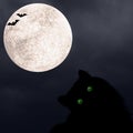 Halloween Square Background With Black Cat With Green Eyes, Silhouettes Of Bats And Full Moon