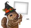 Halloween Squirrel Sign Royalty Free Stock Photo