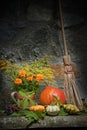 Halloween still life Royalty Free Stock Photo