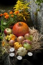 Halloween still life Royalty Free Stock Photo