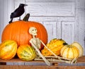 Halloween still life Royalty Free Stock Photo
