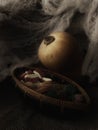 Halloween still life Royalty Free Stock Photo