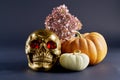 Halloween still life with golden skull and a pair of pumpkins gray background close-up Royalty Free Stock Photo