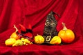 Halloween still life with pumpkins, witch hat and a devil red hat Royalty Free Stock Photo