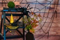 Halloween still-life with vase, plant, spider and hat.