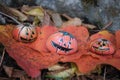 Halloween stone pumpkins over autumnal red leaves