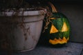 Halloween street decor with Jack-o`-lantern. Carved pumpkins with scary glowing faces, modern festive decoration of european city