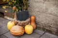 Halloween street decor. Pumpkin and empty board sign in city street, holiday decorations store fronts and buildings. Space for Royalty Free Stock Photo