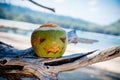 A halloween symbol carved from a young green coconut. Scary face like a pumpkin. stands on the branches of a tree against the Royalty Free Stock Photo