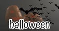 Halloween text banner and multiple flying bat icons over halloween pumpkins against grey background Royalty Free Stock Photo