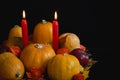 Halloween thanksgiving autumn still life composition pumpkins ap Royalty Free Stock Photo