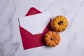 Halloween and thanksgiving blank card and envelope Royalty Free Stock Photo