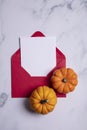 Halloween and thanksgiving blank card and envelope Royalty Free Stock Photo