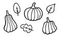 Halloween Thanksgiving pumpkins and leaves set. Hand drawn black doodle elements for postcard poster of autumn holiday invitation Royalty Free Stock Photo