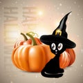 Halloween theme - black cat with pumpkins Royalty Free Stock Photo
