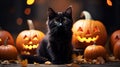 Halloween theme: black cat sitting next to pumpkins Royalty Free Stock Photo
