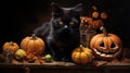 Halloween theme: black cat sitting next to pumpkins Royalty Free Stock Photo