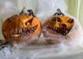 Carved pumpkin with a scary smile, spiders, white cobweb background, decoration and holiday concept, carved pumpkin for a fun