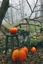 Halloween theme decoration with pumpkins