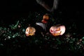 Halloween three pumpkins in leaves and grass in the dark, scary Royalty Free Stock Photo