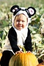 Halloween Toddler Royalty Free Stock Photo