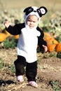 Halloween Toddler Royalty Free Stock Photo