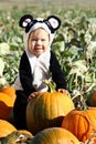 Halloween Toddler Royalty Free Stock Photo