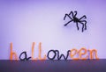 Halloween toy spider, pipe cleaners. Royalty Free Stock Photo