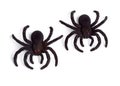 Halloween - Toy Spiders, Top View - Isolated on White Background