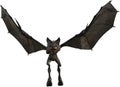 Halloween Vampire Bat Monster Isolatel Royalty Free Stock Photo