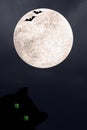 Halloween Vertical Background With Black Cat With Green Eyes, Silhouettes Of Bats And Full Moon