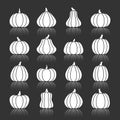 Halloween white pumpkin with reflection icon set Royalty Free Stock Photo