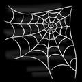 Halloween white spider web on black background. Royalty Free Stock Photo