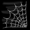 Halloween white spider web isolated on black background.
