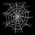 Halloween white spider web isolated on black background. Royalty Free Stock Photo