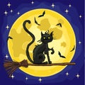 Halloween witch cat flying on the broom